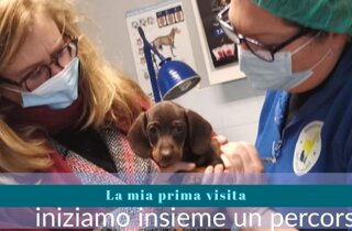 veterinario manziana mascagna
