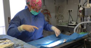 veterinario manziana mascagna