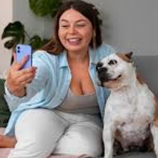 consulta un medico veterinario in videochiamata
