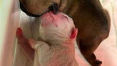 img_7725.jpeg