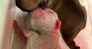 2965-img_7720.jpeg