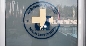 veterinario manziana mascagna