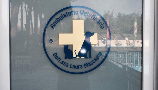 veterinario manziana mascagna