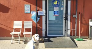 veterinario manziana mascagna