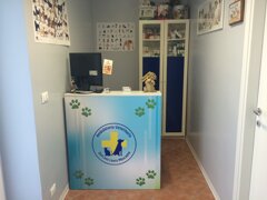 img_3539.jpeg img_3539.jpeg