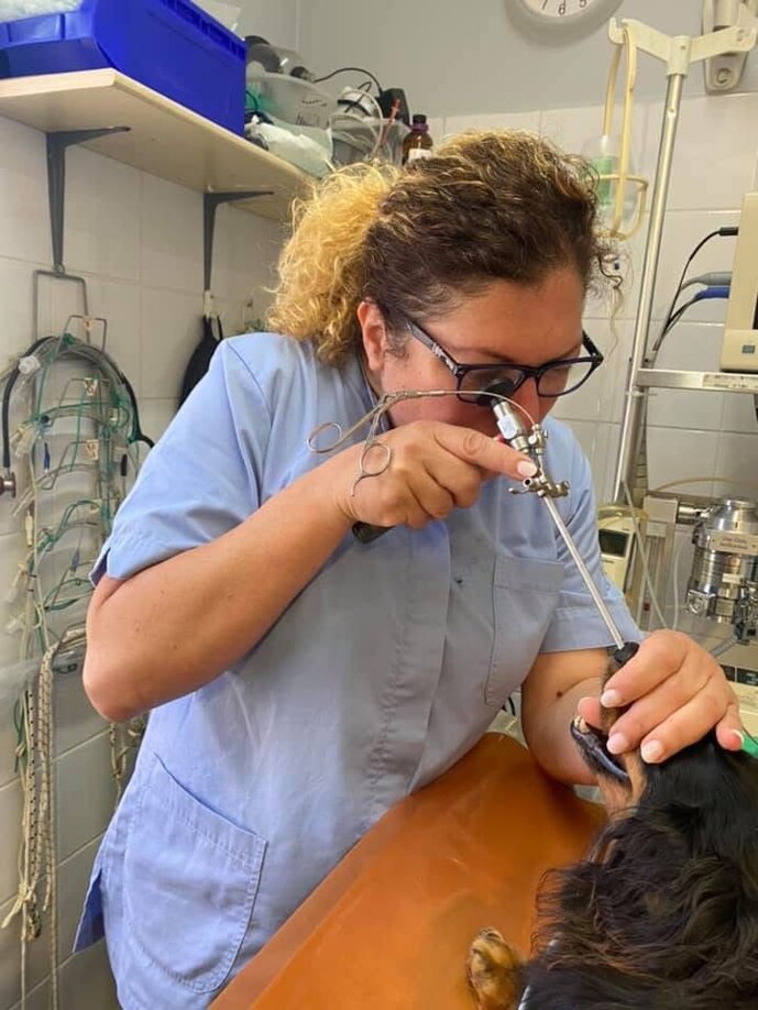 veterinario manziana mascagna