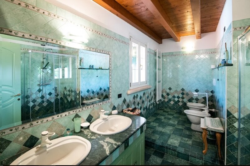 bagno comune tulipani girasoli foto.jpeg