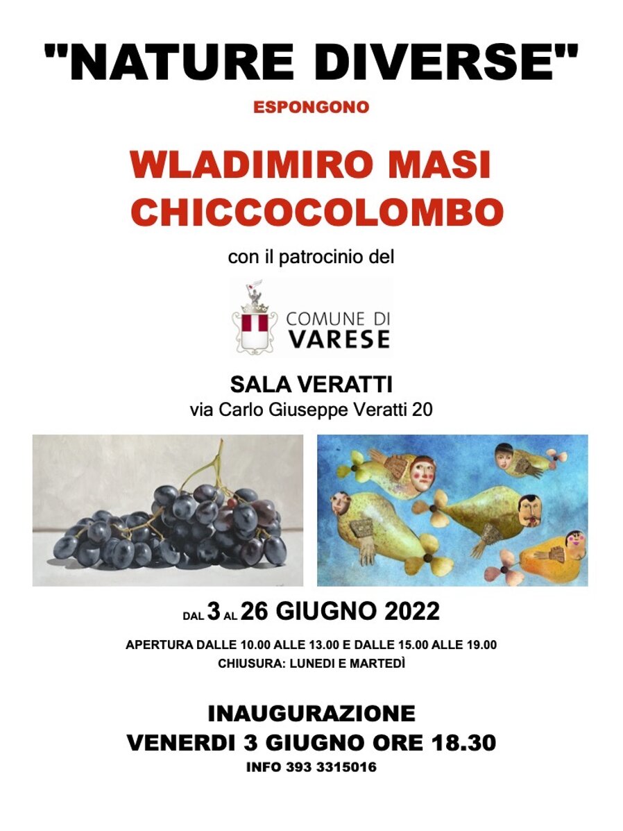 mostra varese.jpeg
