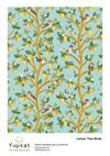 lemon-tree-birds_francesca-calvi_yupcat_portfolio copia.jpeg lemon-tree-birds_francesca-calvi_yupcat_portfolio copia.jpeg