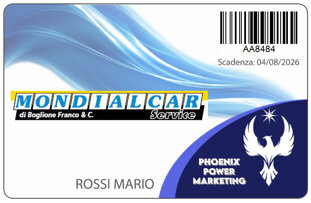 card ppm - mondialcar.jpeg