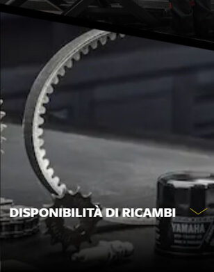 ricambi.jpeg