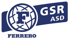 logo gsrf.jpeg