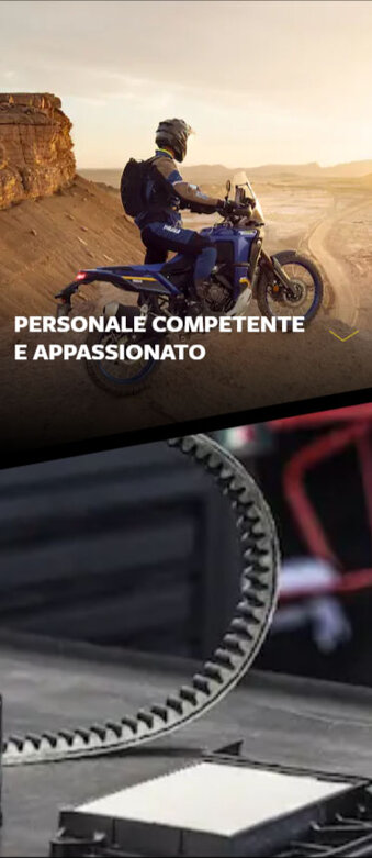 personale specializz.jpeg