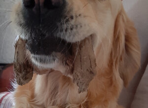 20190923_072659.jpeg