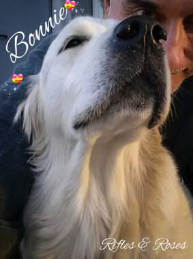 photoeditor_20191021_075643778.jpeg