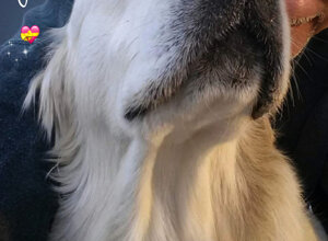 20220709_113942.jpeg