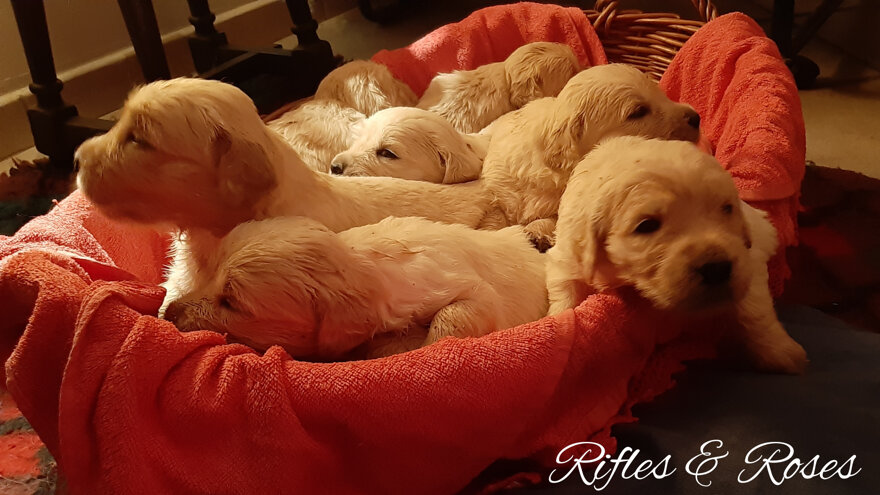 polish_20201207_165719644.jpeg polish_20201207_165719644.jpeg