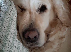 20190213_132611.jpeg