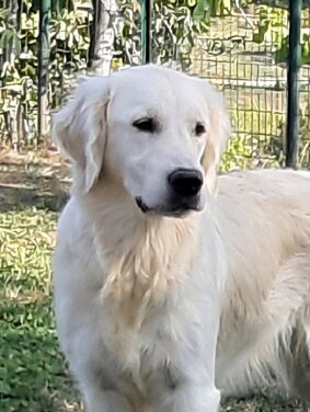 20190920_183457.jpeg