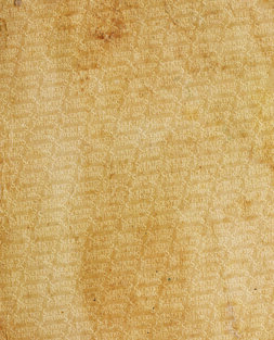 interno_pack_total copia.jpeg