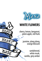 mana-potion