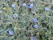 851df63ff1a46542dc5e1c3b6e2717b90aa2ccff