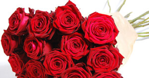 35446f795f7f06f084345cdda3a836fcb68e24c8