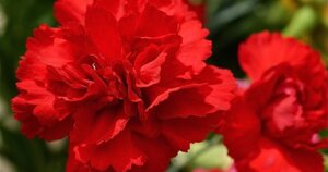 73cf32c5a6d2b4c2f60f105cf2fb196b2325e1cd