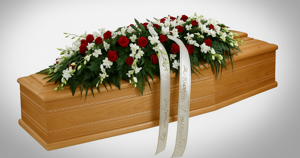 cuscinetto%20anthurium%20rossi%20cgptchatgpt%20image%2013%20nov%202025,%2018_05_51