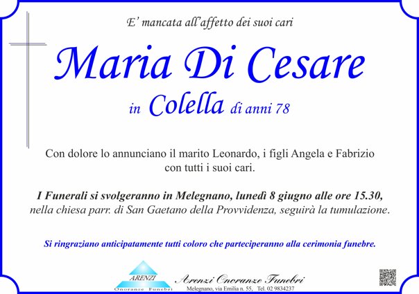 di cesare maria manif.jpeg