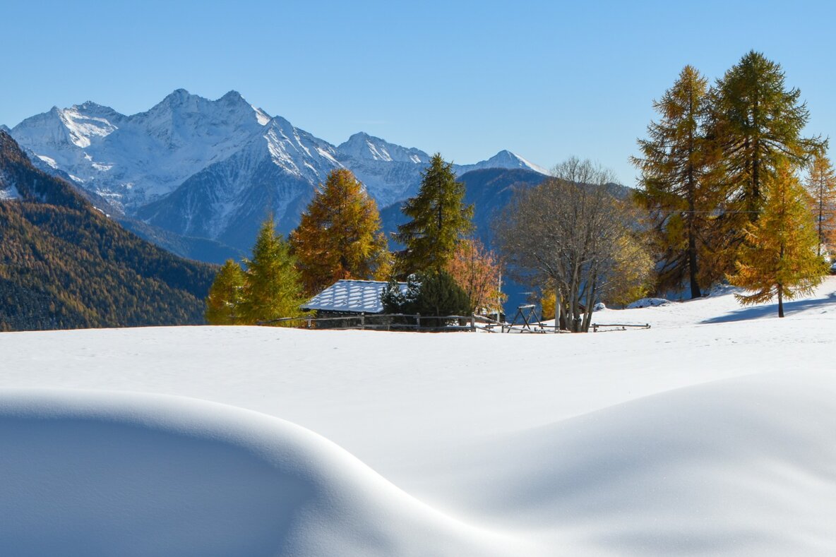 c9b1ec9929e5c6e452beeb23da80b36af730c102