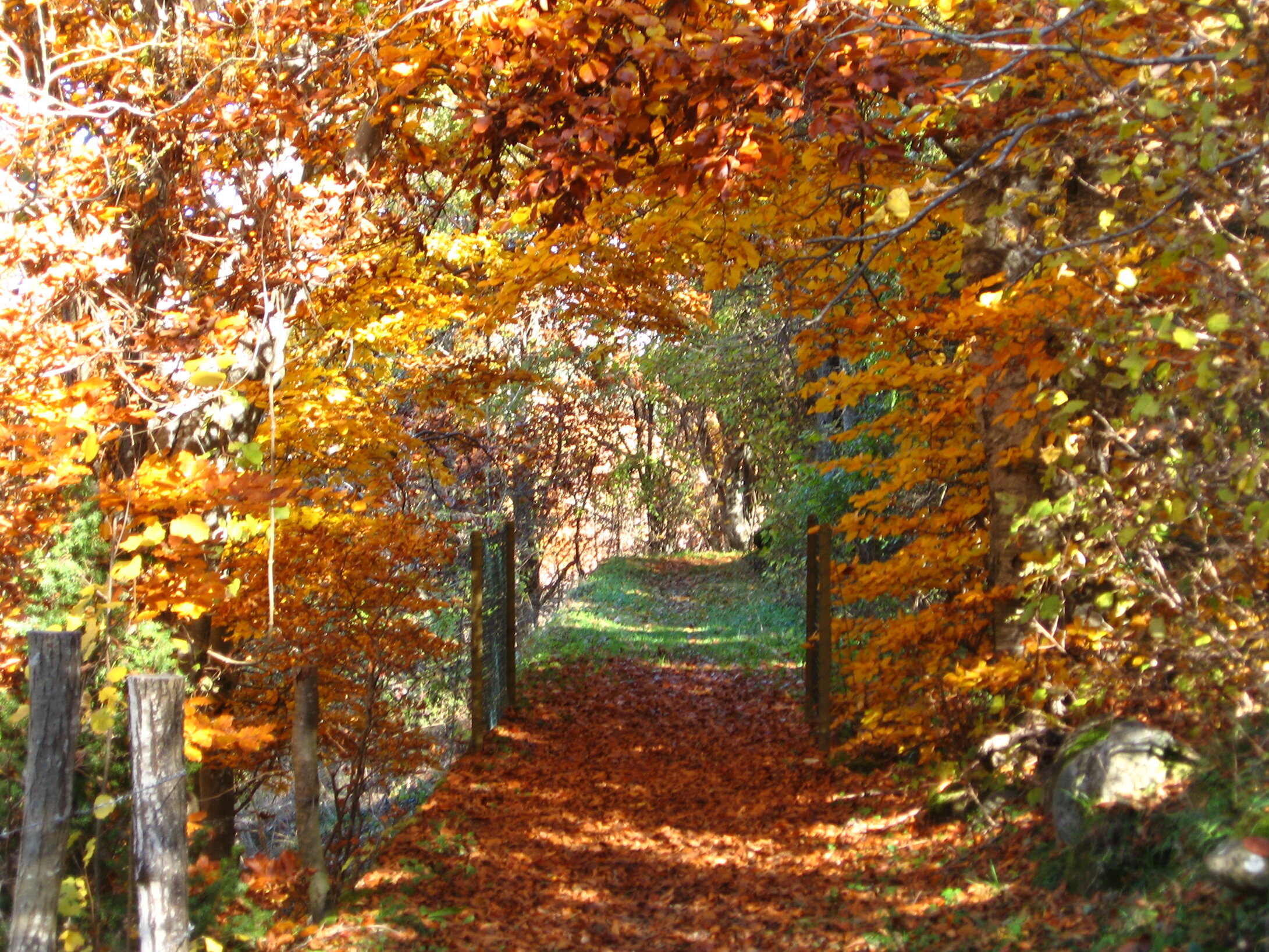 cdb0103d3a41cda6c3c0544d24e428ad47b23970 cdb0103d3a41cda6c3c0544d24e428ad47b23970