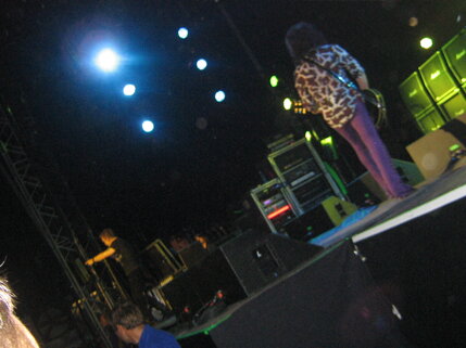 billy idol idolize yourself tour 2008 (117).jpeg