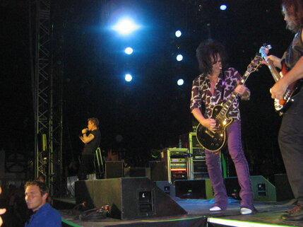 billy idol idolize yourself tour 2008 (115).jpeg