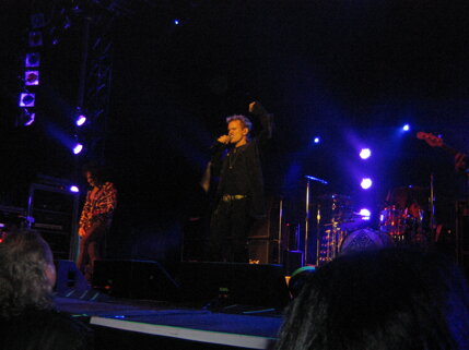 billy idol idolize yourself tour 2008 (75).jpeg
