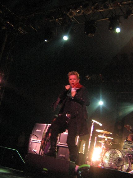 billy idol idolize yourself tour 2008 (90).jpeg