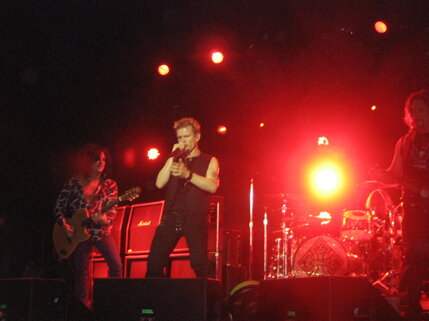 billy idol idolize yourself tour 2008 (95).jpeg