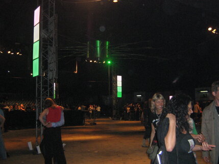 billy idol idolize yourself tour 2008 (132).jpeg