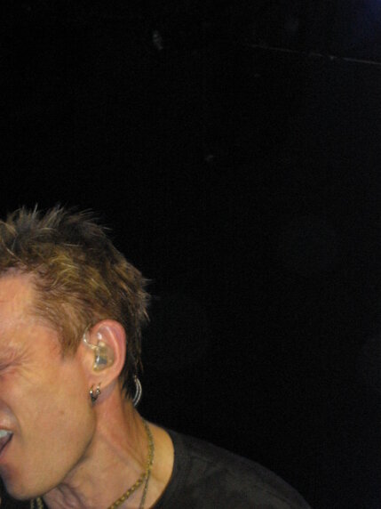 billy idol idolize yourself tour 2008 (119).jpeg