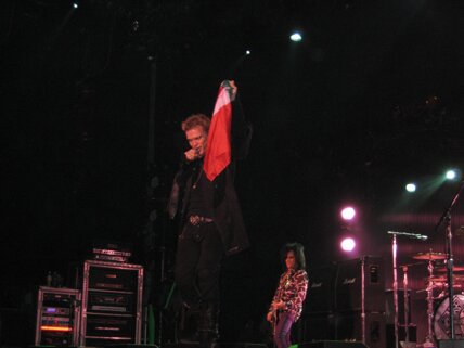 billy idol idolize yourself tour 2008 (90,1) (2).jpeg