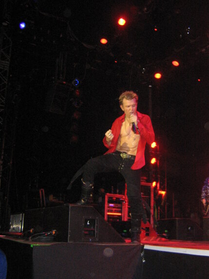 billy idol idolize yourself tour 2008 (108).jpeg