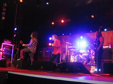 billy idol idolize yourself tour 2008 (109).jpeg