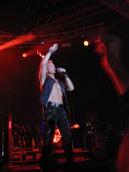 2016 concerto billy idol, fabrique, milano 23-11-2014, kings & queens of the underground tour 2014 (11).jpeg