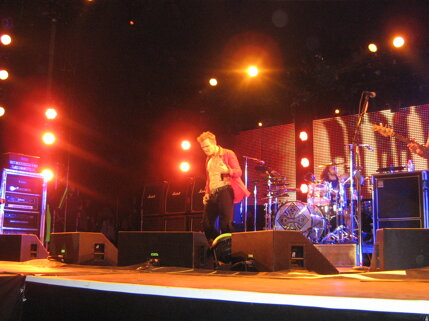 billy idol idolize yourself tour 2008 (112).jpeg