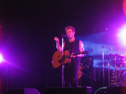 billy idol idolize yourself tour 2008 (97).jpeg