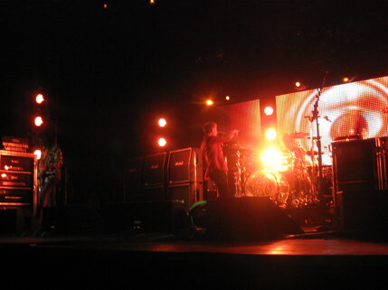 billy idol idolize yourself tour 2008 (111).jpeg