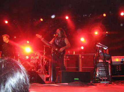 billy idol idolize yourself tour 2008 (76).jpeg