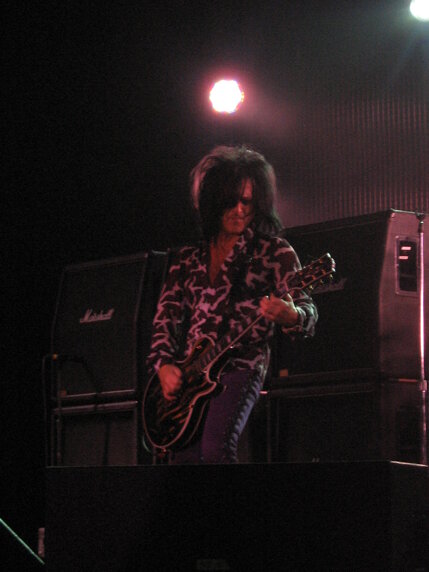 billy idol idolize yourself tour 2008 (88).jpeg