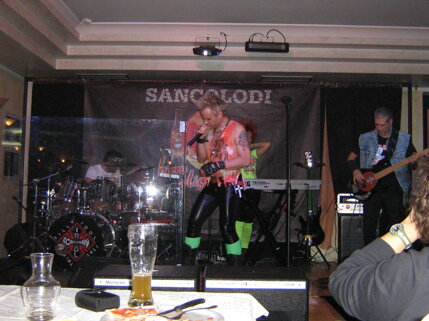 209 tribute party billy idol (scremin idol) 005 (7).jpeg