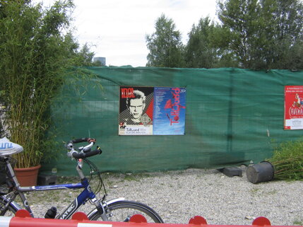 billy idol idolize yourself tour 2008 (44).jpeg